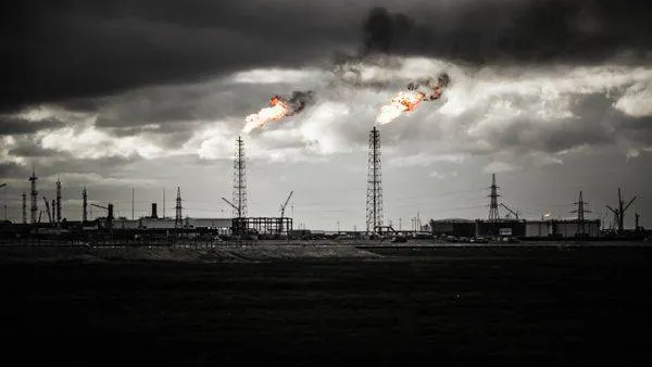Фото: Дарья Зимина