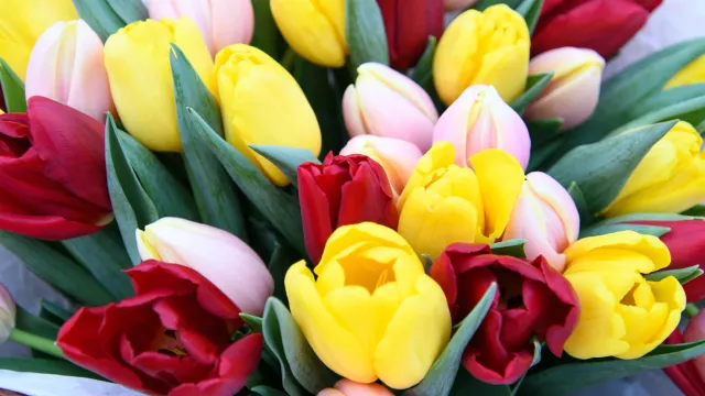 Фото: Юрий Здебский / "Ямал-Медиа"