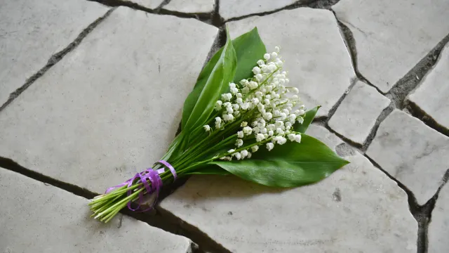 Фото: Андрей Ткачёв / «Ямал-Медиа»