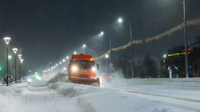 Фото: Фёдор Воронов / «Ямал-Медиа»