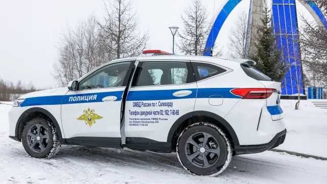 Фото: Федор Воронов / «Ямал-Медиа»