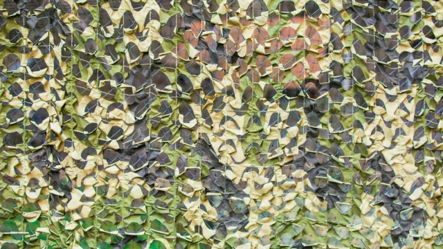 Экс-глава газовой столицы заявил, что хотел на СВО уже давно. Фото: Olga Prava / shutterstock.com / Fotodom