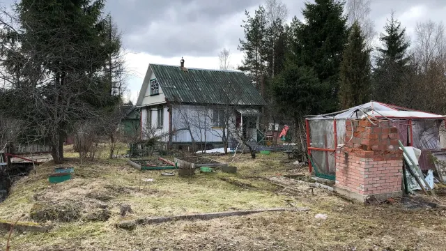 Фото: Ministrator/Shutterstock/Fotodom