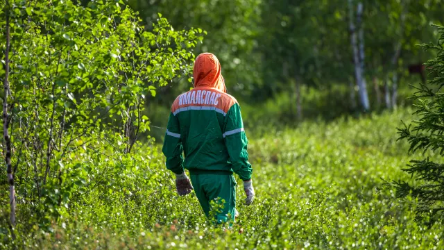 Фото: Фёдор Воронов / «Ямал-Медиа»