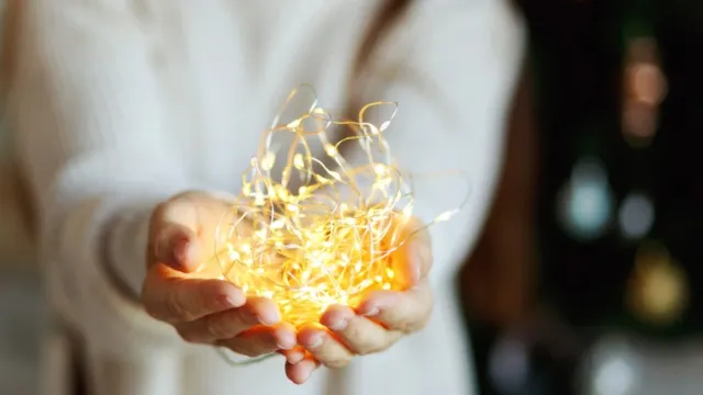 Фото: Alina Bitta / shutterstock.com / Fotodom