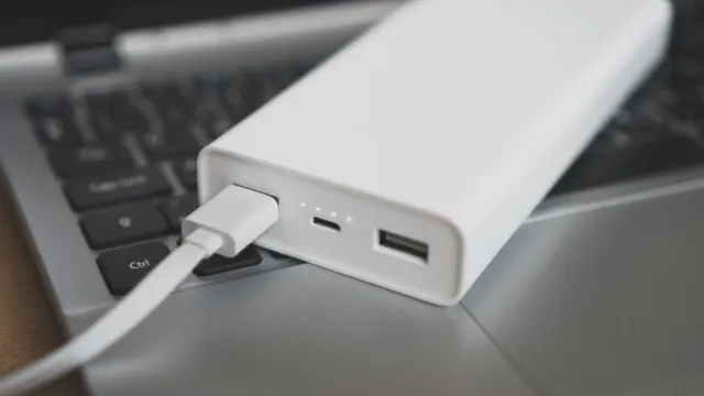 Фото: M-Production/Shutterstock/Fotodom