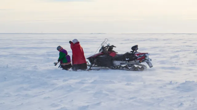 Фото: evgenii mitroshin / Shutterstock / Fotodom