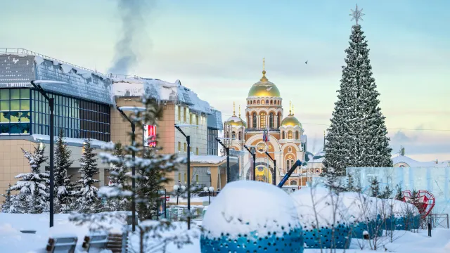 Фото: Фёдор Воронов / «Ямал-Медиа»