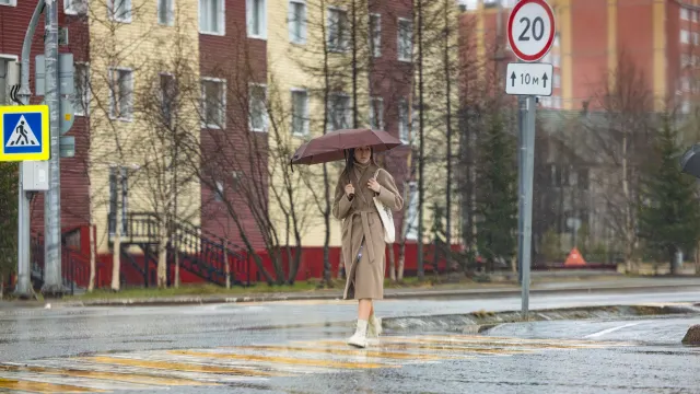 Фото: Дания Соболева / «Ямал-Медиа»