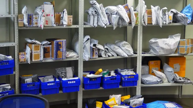 Фото: Tatiana Zinchenko/Shutterstock/Fotodom