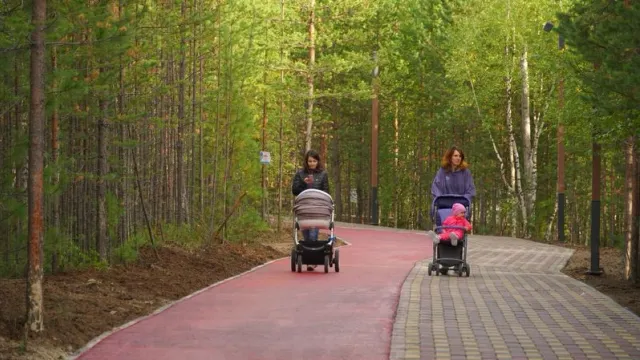 В парке Тарко-Сале может появиться кафе, в котором откроют комнату матери и ребенка. Фото: Юлия Чудинова / "Ямал-Медиа"