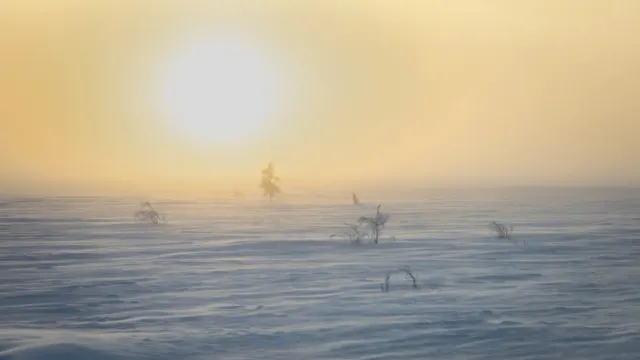 Фото: Фёдор Воронов / «Ямал-Медиа»
