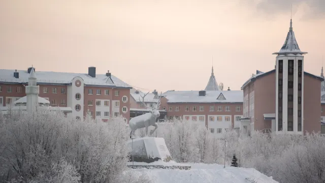 Фото: Сергей Зубков / «Ямал-Медиа»