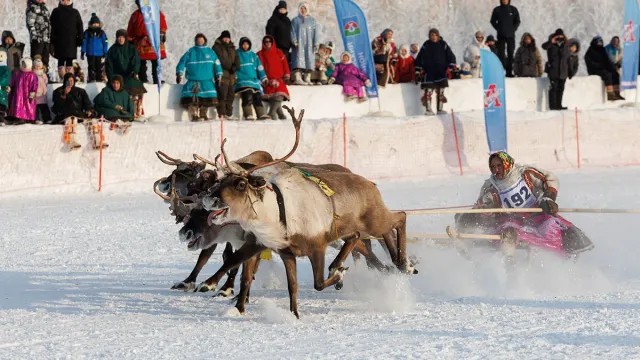 Фото: Сергей Решетов