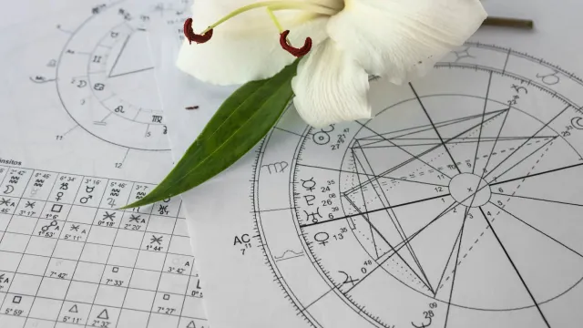 Фото: Bada1 / shutterstock.com / Fotodom