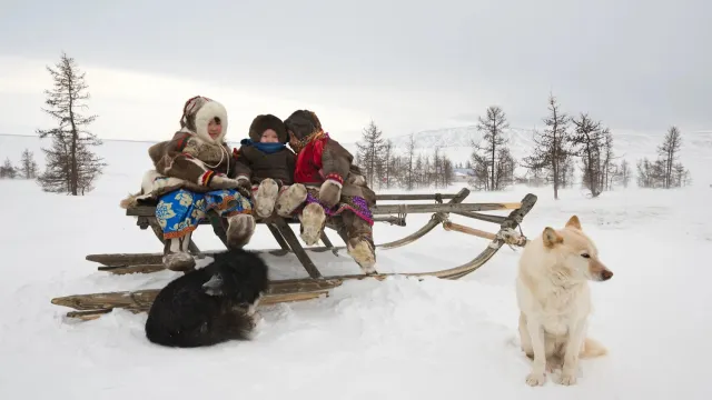Фото: longtaildog / shutterstock.com / Fotodom