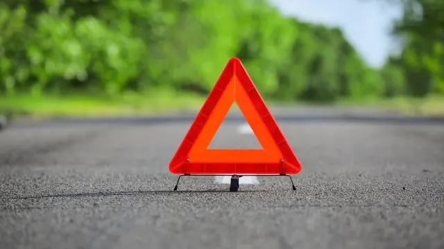 Фото: Pixel-Shot/Shutterstock/Fotodom