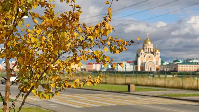 Фото: Андрей Ткачёв / «Ямал-Медиа»