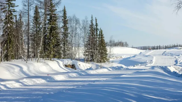 Фото: Федор Воронов / «Ямал-Медиа»