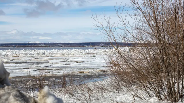 Фото: Фёдор Воронов / «Ямал-Медиа»
