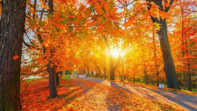 Фото: sun ok/Shutterstock/Fotodom