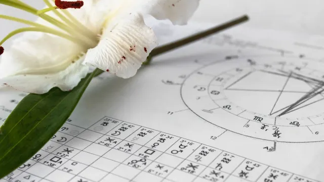 Фото: Bada1 / shutterstock.com / Fotodom