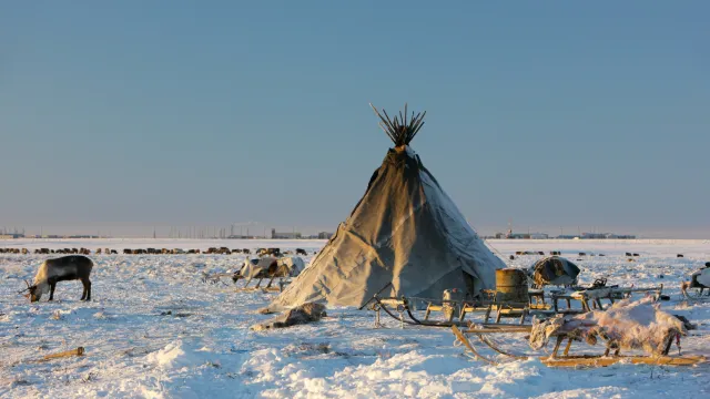 Фото: nenets/Shutterstock/Fotodom