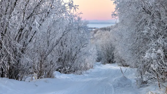 Фото: Фёдор Воронов / «Ямал-Медиа»