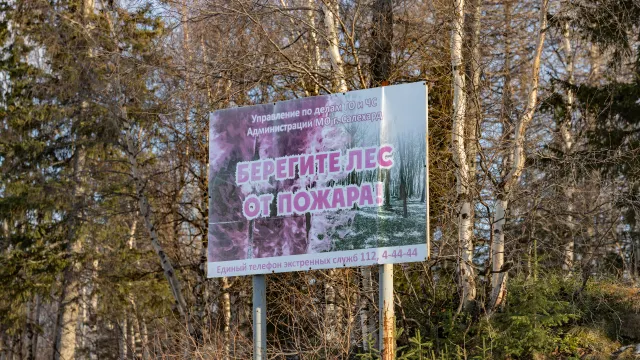 Фото: Дания Соболева / «Ямал-Медиа»