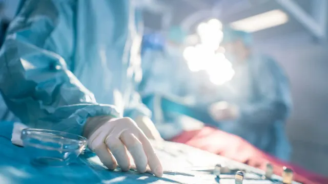 Фото: Gorodenkoff/Shutterstock/Fotodom