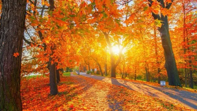 Фото: sun ok / Shutterstock / Fotodom