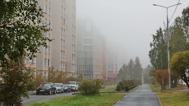 Фото: Андрей Ткачёв / «Ямал-Медиа»