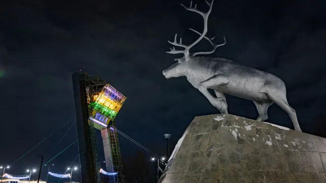 Фото: Федор Воронов / «Ямал-Медиа»