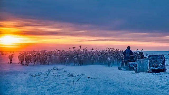 Фото: предоставлено Равилем Сафарбековым