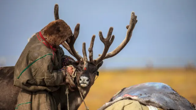 Фото: evgenii mitroshin / Shutterstock / Fotodom