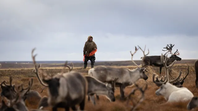 Фото: Фёдор Воронов / "Ямал-Медиа"