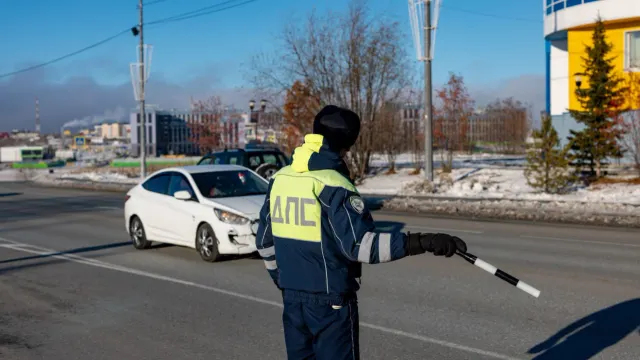 Фото: Сергей Зубков/«Ямал-Медиа»
