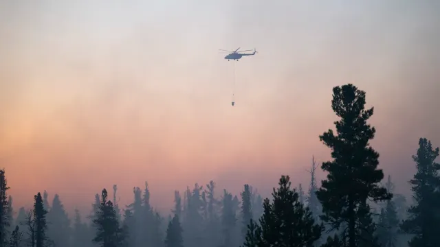 Фото: Андрей Понамарёв / «Ямал-Медиа»
