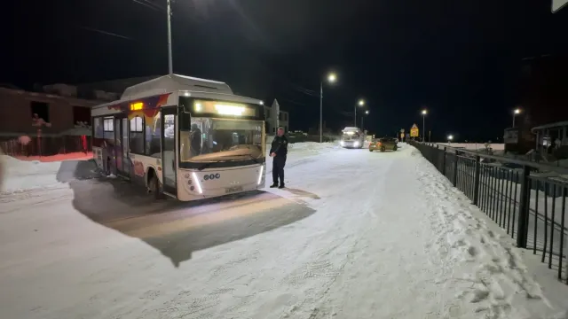 Фото: Вера Дронзикова / «Ямал-Медиа»