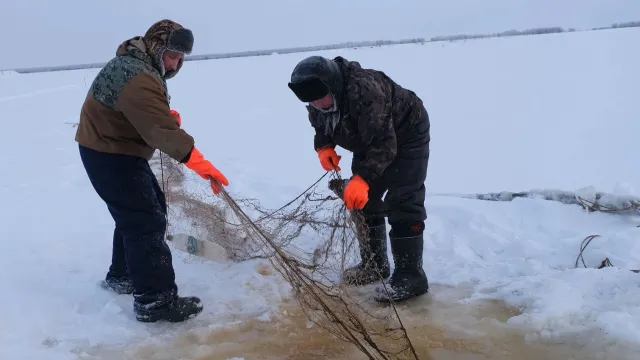 Ас потты тыӆась эӆты Альберт апсем пиӆан хоӆпат омасӆаман. Хор: Альбина Тырлина