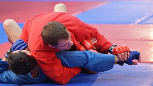 Самбо можно по праву считать национальным единоборством. Фото: StockphotoVideo / Shutterstock / Fotodom