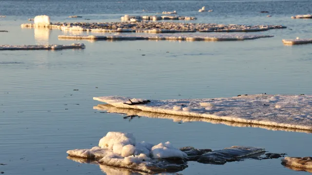 Фото: Андрей Ткачёв / «Ямал-Медиа»
