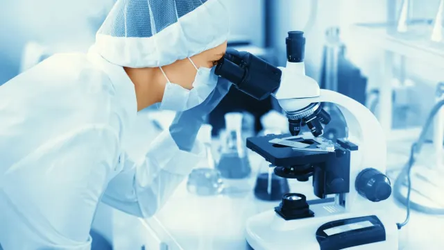 Фото: Cast Of Thousands / Shutterstock / Fotodom