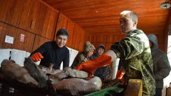 Фото: Галина Соловьёва / «Красный Север»