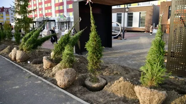 Фото: пресс-служба администрации Салехарда