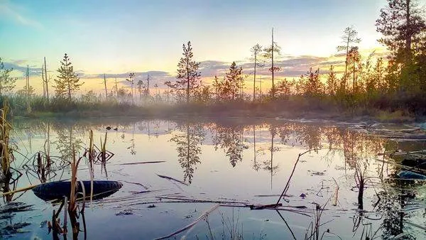 Фото: Андрей Коник